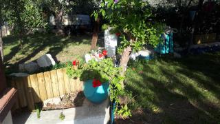 B&B Case Vacanza Orchidea marina di Macchia a Mattinata Gargano - Monte SantʼAngelo - 5