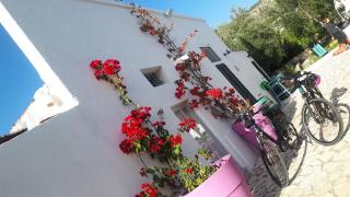 B&B Case Vacanza Orchidea marina di Macchia a Mattinata Gargano - 4