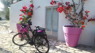 B&B Case Vacanza Orchidea marina di Macchia a Mattinata Gargano - 3