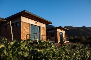 UvaUva eco-retreat - Valle de Guadalupe - 8