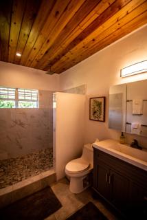 Fantastic Penthouse at Sunset Serenade Suites - Enighed - 5