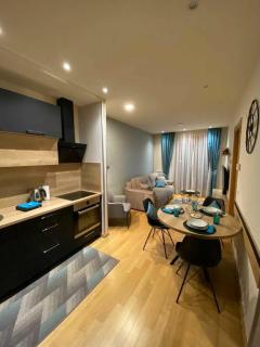 Zlatibor apartman Chill out - Zlatibor - 8