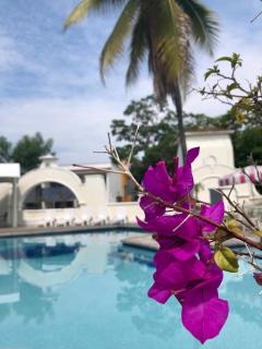 Hotel San Joaquin SA de CV - Colima - 3