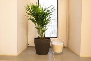 FullHouse - Magdeburg - L36 Blue Apartment - Magdebourg - 5