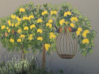The Lemon Tree Self- Catering - Johannesburg - 4