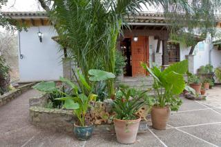 Hostal El Cortijo - 3