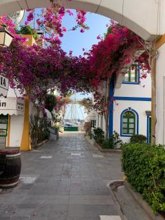 Ílios de Mogán - Puerto de Mogán - 2