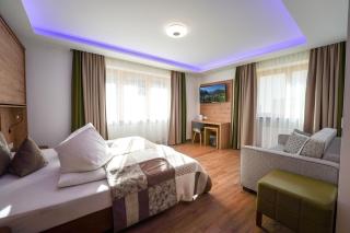 Pension Patricia - Summercard included from may 15th - Kaprun - 8