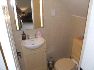 The Curragh Country House Accommodation - Newbridge - 2
