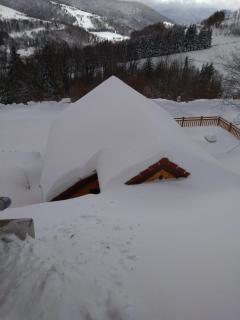 Refuges des Hauts - Bussang - 3