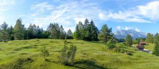 Ferienwohnungen Arnika - Krün - 2