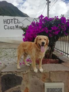 Hotel Casa Medina - San Mateo - 6