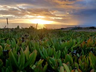 Lu Salentu Guest House - 3