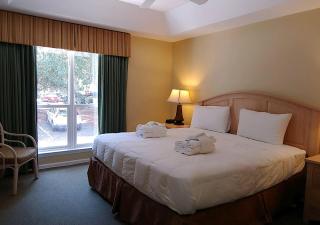 Ocean Palms Villa with Championship Golf Saturday to Saturday Rental - Hilton Head Island - 7