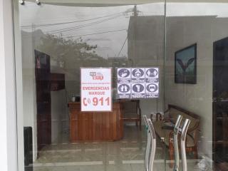 Hostal Sandrita - Puerto Villamil - 3