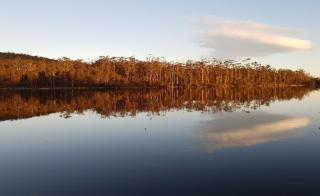 Lake Yalleena Nature Retreat - Lake Leake - 5