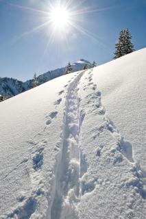 Urlaub am Bauernhof Windhaghof - 1