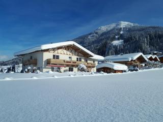 Landhaus Hirzinger - Westendorf - 0