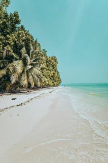 Munjoh Ocean Resort - Private Beachfront Luxury Retreat in Havelock - 8
