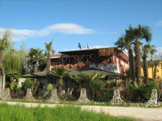 B&B Le Palme d'Oro - Grisignano di Zocco - 6