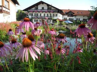 Wachingerhof - 3