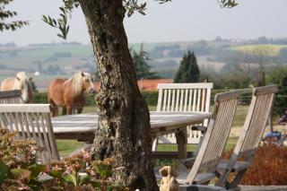 Amberhoeve - Schorisse - 9