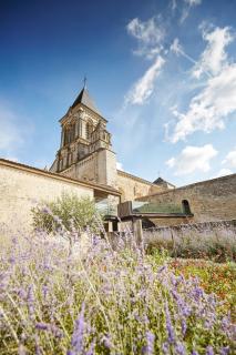 Chambres d'Hôtes Le Tilleul - 3