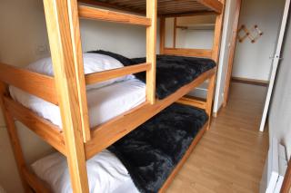 VAUJANYLOCATIONS - Cochette 1 Apt 5 - Vaujany - 6
