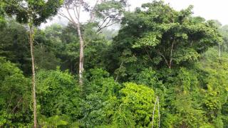 Finca Sueno de Osa - Puerto Jiménez - 5