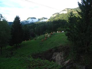 Holiday Home Bela - 8