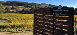 Gisborne Peak Winery - Charming Retreat Vineyard Stay Macedon Ranges - 9