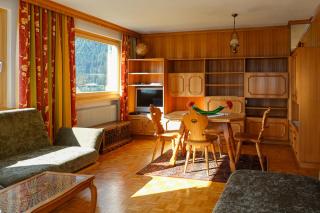 Waldchalet Steinbock - Sankt Anton im Montafon - 1
