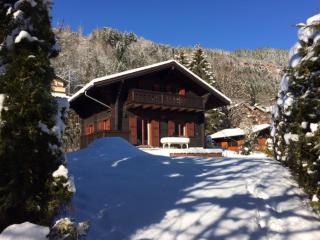 Chalet Brimborion - Champéry - 0