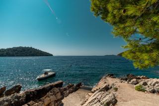 Fancy Apartments Dream - Brna - 8