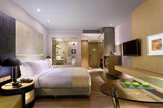 Holiday Inn New Delhi Aerocity by IHG - Neu-Delhi - 2