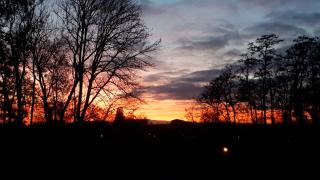 Gite Terre d'Helene 3 - 4 pers proche Strasbourg 42 m2, 3 étoiles, wifi, paisible, jardin, proche commerces,16 atouts, animaux acceptés - 2