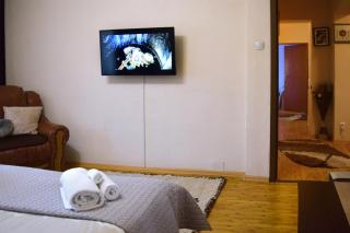 Central Park Apartment - Turda - 8