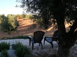 Burrico D`Orada - Rural Stays & Wine Country Tours - 5