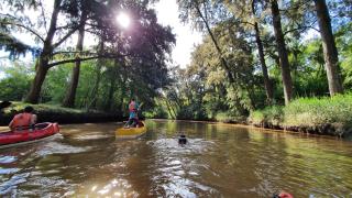 Rio Manso Tigre - Tigre - 6
