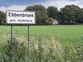 Afbeelding 2