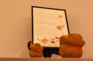 Vakantiewoning Kokilla - 1