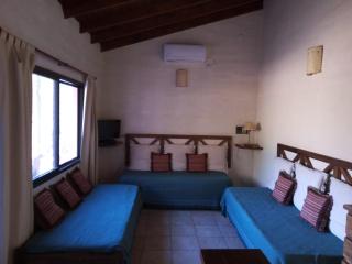 Fincas del Huacle - Nono - 3