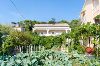 Apartments Luce - Lopar - 0