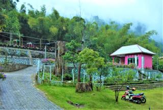 Penginapan Puncak DP - 7