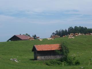 Weberhof - Samerberg - 8