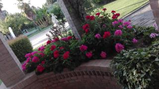 Luconi Affittacamere - 8