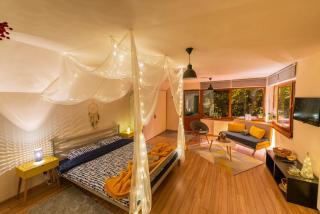 Dragonfly Studio with GARDEN - Braşov - 0