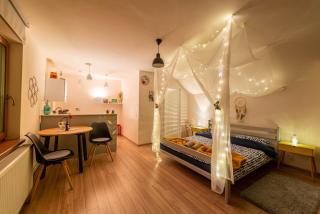 Dragonfly Studio with GARDEN - Braşov - 7