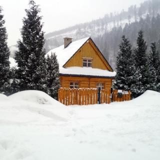 Sno House - 9