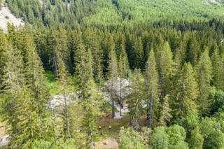 WILDHOMES Wild Wolf Lodge - Courmayeur - 5
